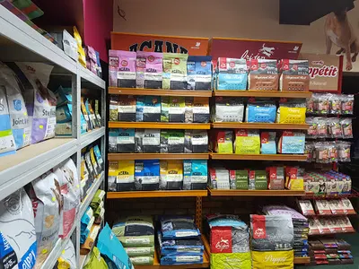 4ŁAPY.PL - Karmy dla Psów i Kotów